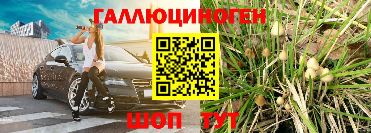 Галлюциногенные грибы GOLDEN TEACHER  Вход с VPN  Псилоцибиновые грибы MAGIC MUSHROOMS  Калач-на-Дону 